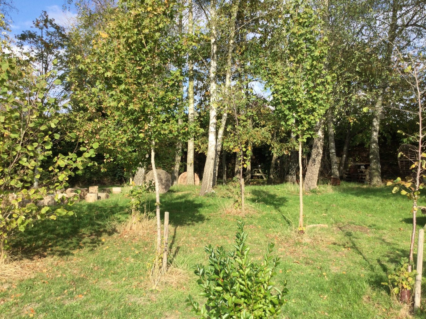Trees and young saplings in the school's outdoor learning area